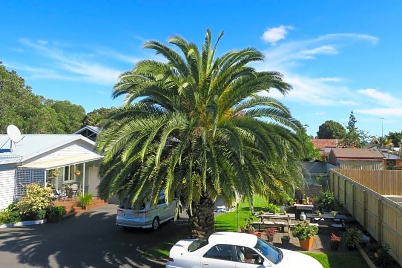 Roselands Motel Tauranga Exterior photo